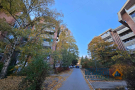 Troiposoban stan, 83m2, Timočke Divizije, Bor